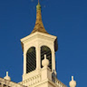 Meet your Posher, Ann